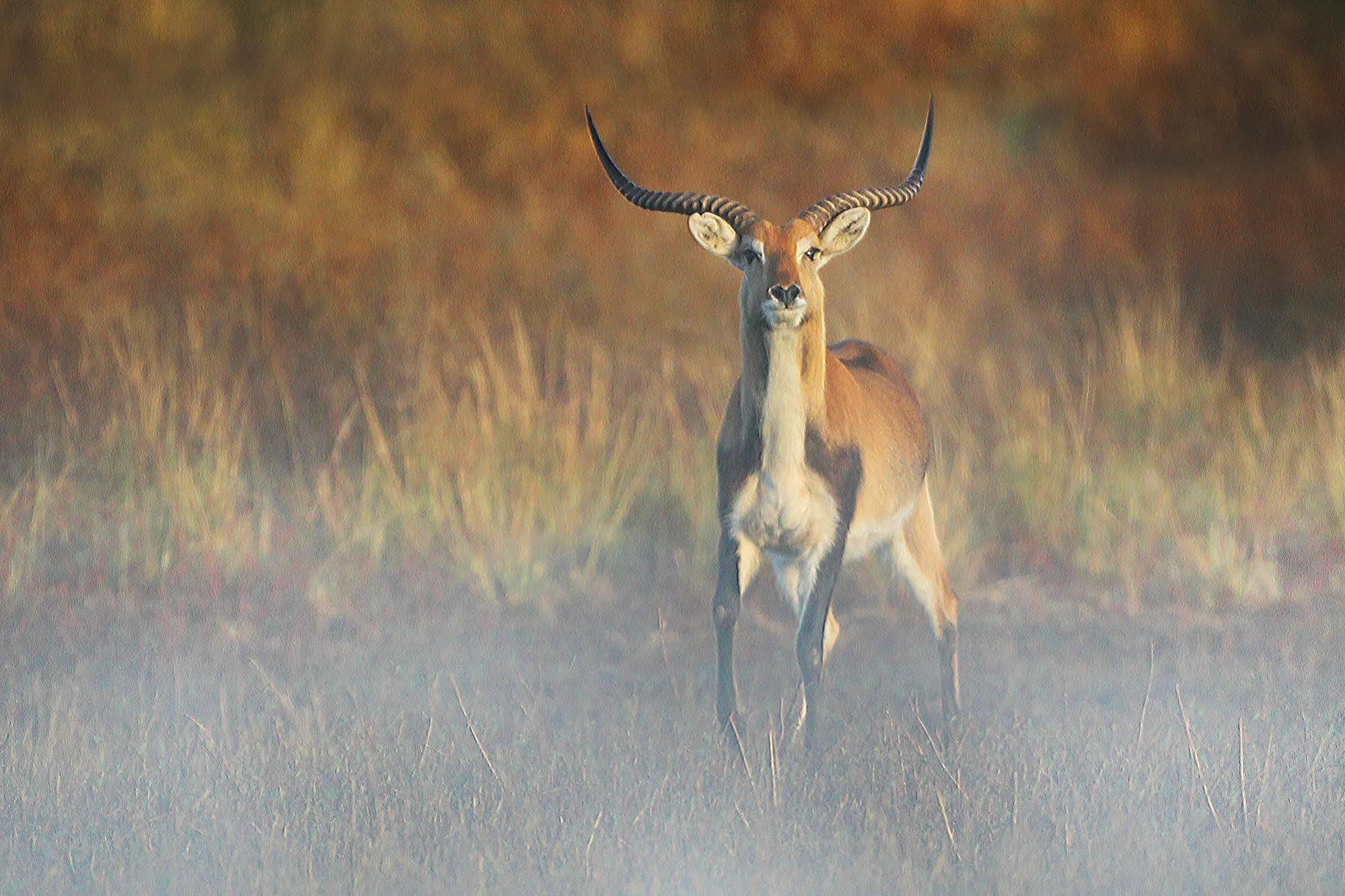 Bona Bona Game Lodge Wolmaranstad Buitenkant foto